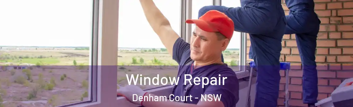  Window Repair Denham Court - NSW