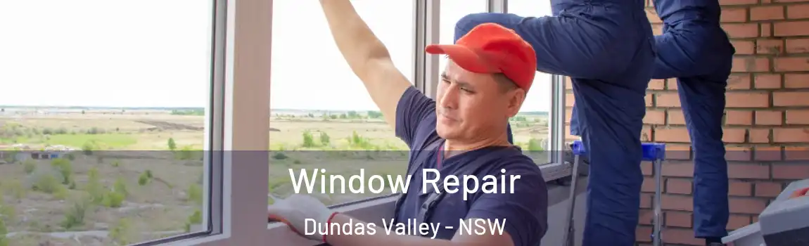  Window Repair Dundas Valley - NSW