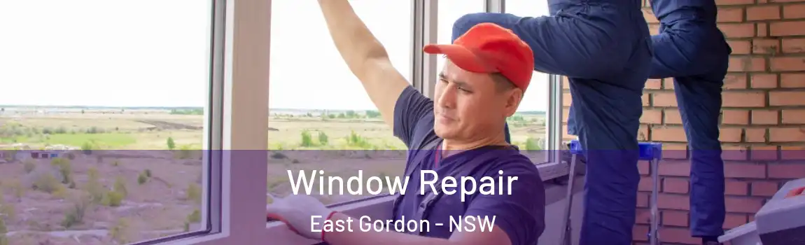  Window Repair East Gordon - NSW
