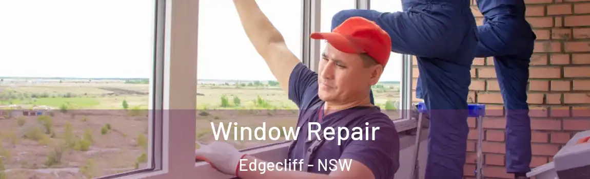  Window Repair Edgecliff - NSW