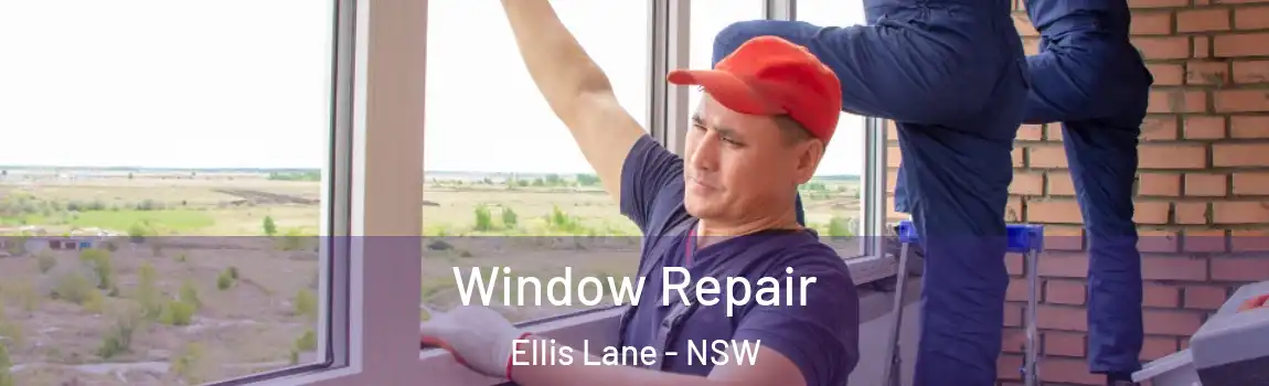  Window Repair Ellis Lane - NSW