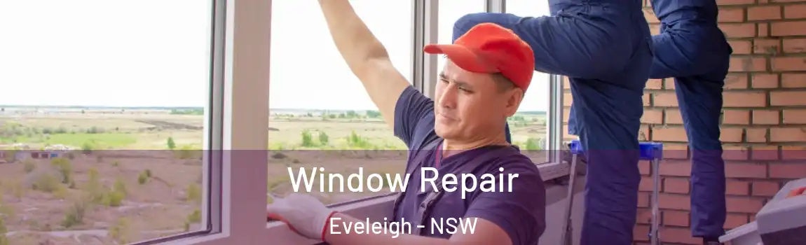  Window Repair Eveleigh - NSW