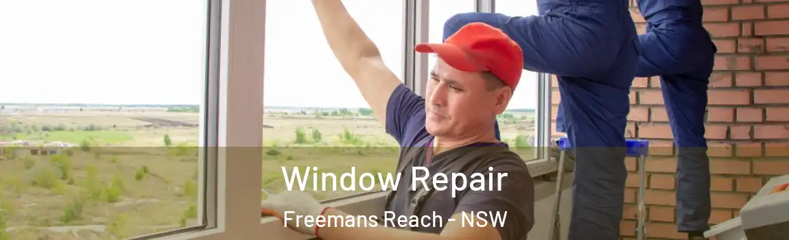  Window Repair Freemans Reach - NSW