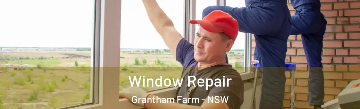  Window Repair Grantham Farm - NSW