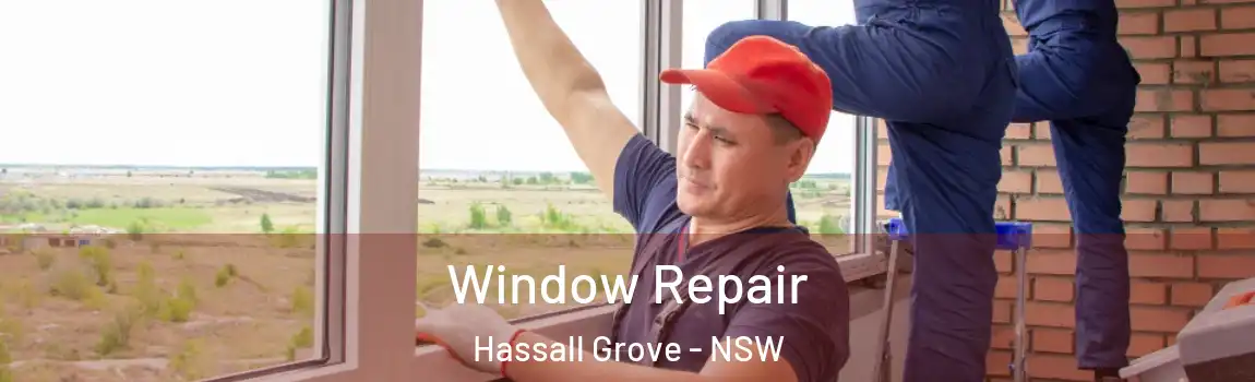 Window Repair Hassall Grove - NSW