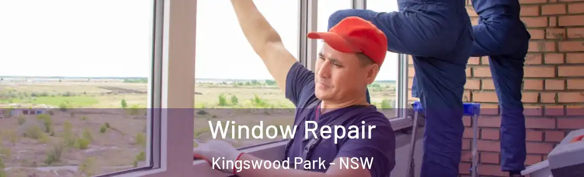  Window Repair Kingswood Park - NSW