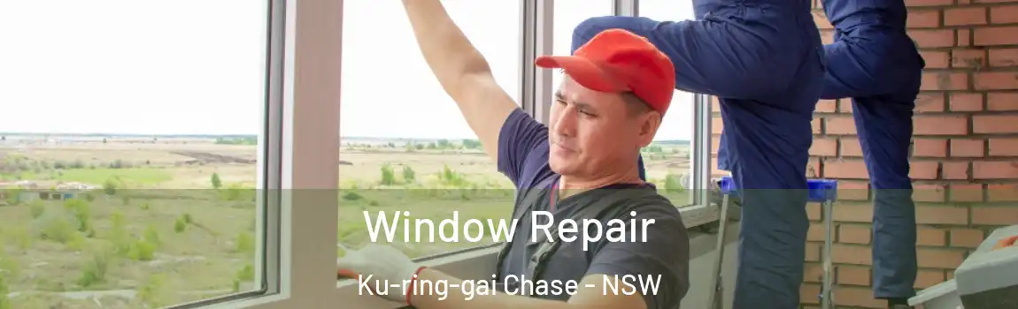  Window Repair Ku-ring-gai Chase - NSW