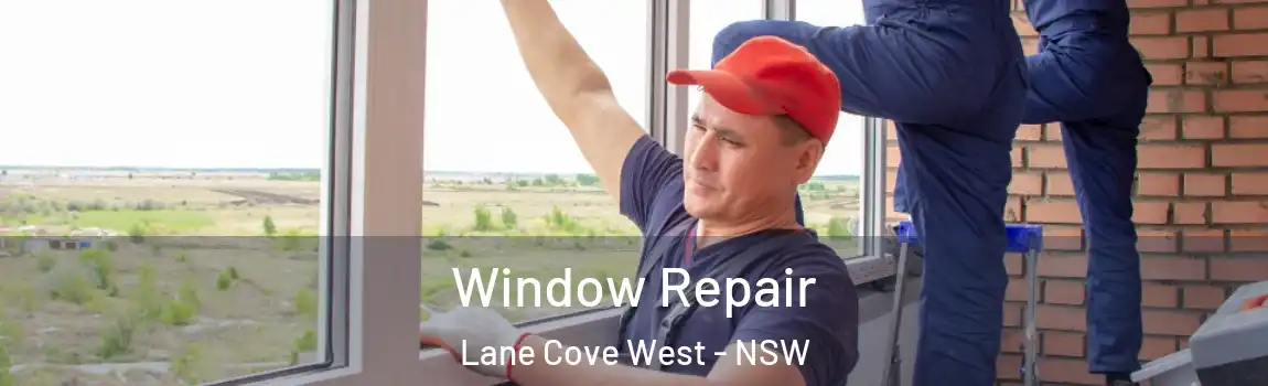  Window Repair Lane Cove West - NSW