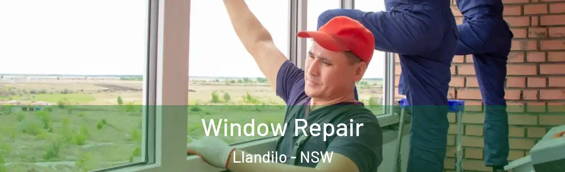  Window Repair Llandilo - NSW