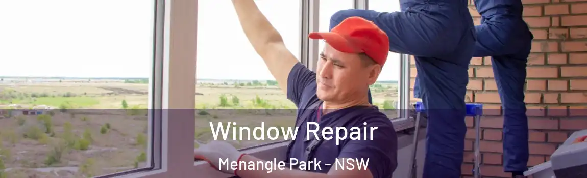  Window Repair Menangle Park - NSW