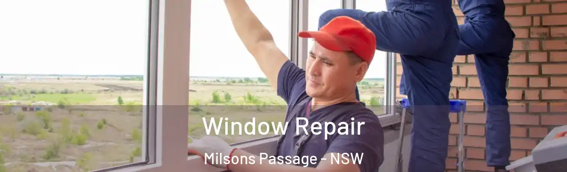  Window Repair Milsons Passage - NSW