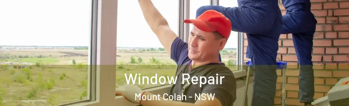  Window Repair Mount Colah - NSW