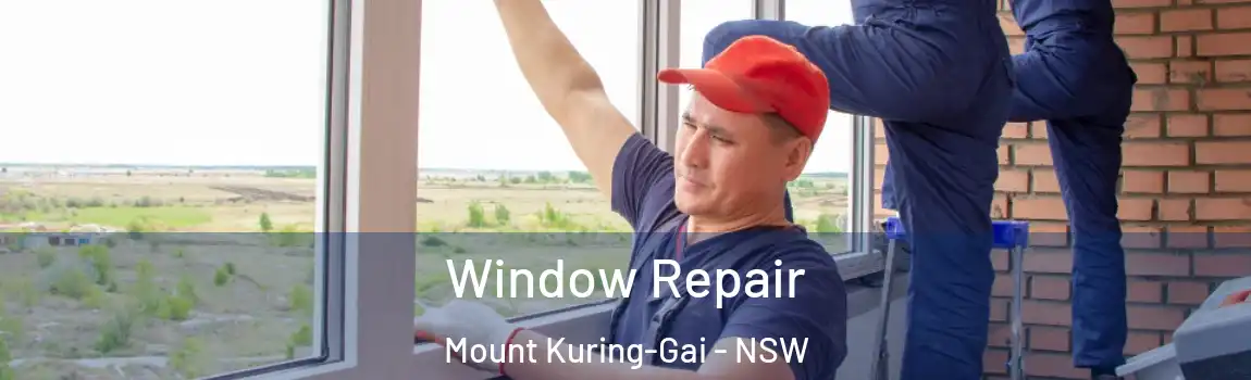  Window Repair Mount Kuring-Gai - NSW