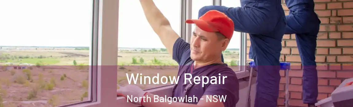 Window Repair North Balgowlah - NSW