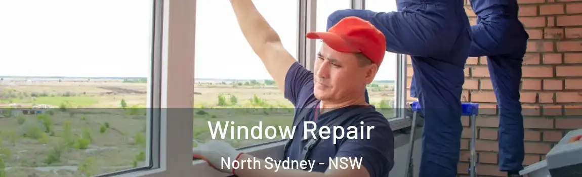  Window Repair North Sydney - NSW