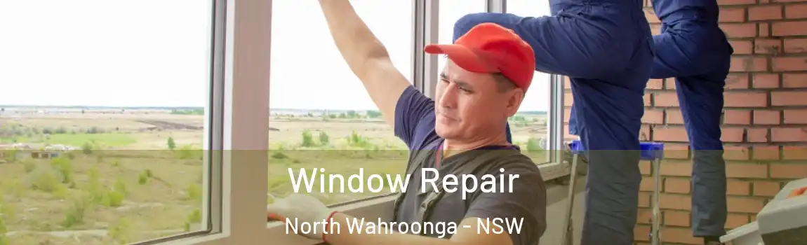  Window Repair North Wahroonga - NSW