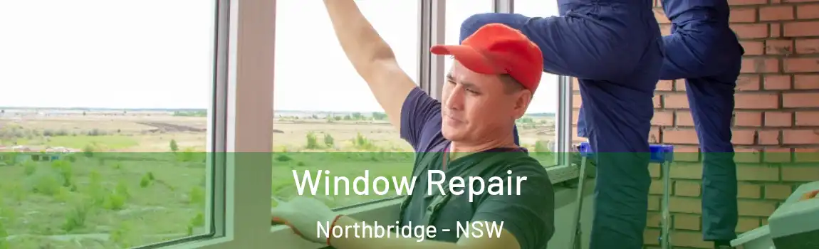  Window Repair Northbridge - NSW