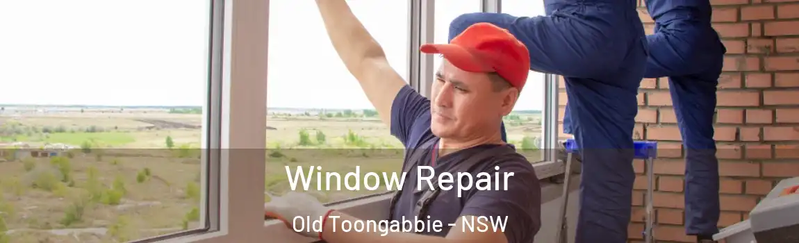  Window Repair Old Toongabbie - NSW