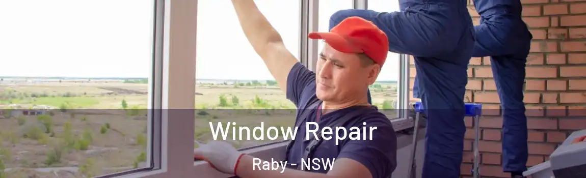  Window Repair Raby - NSW