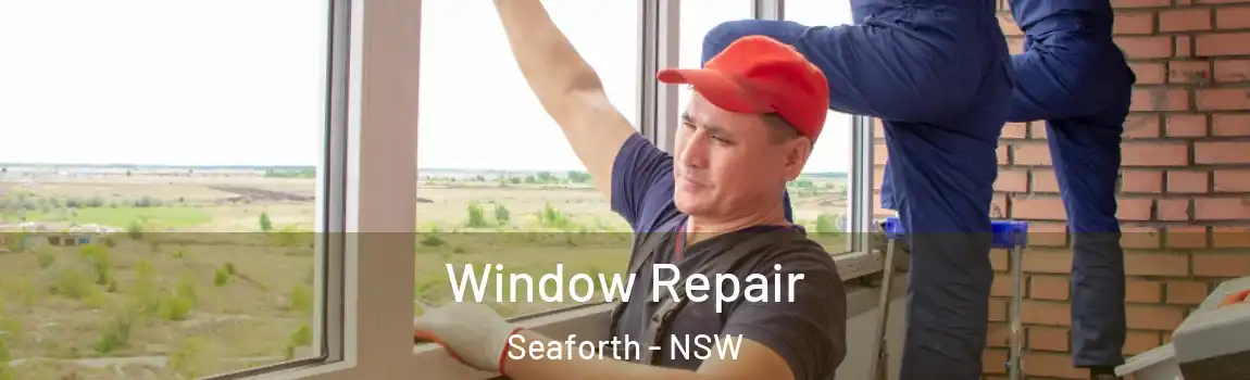  Window Repair Seaforth - NSW