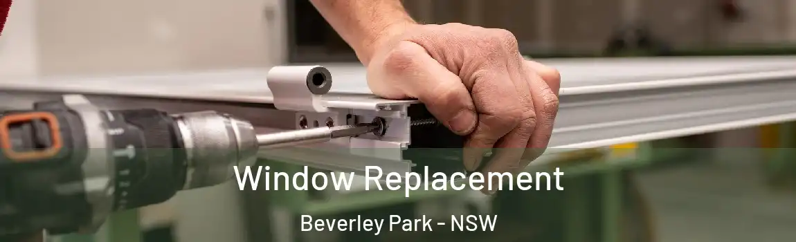  Window Replacement Beverley Park - NSW