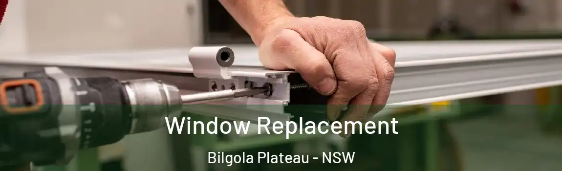  Window Replacement Bilgola Plateau - NSW