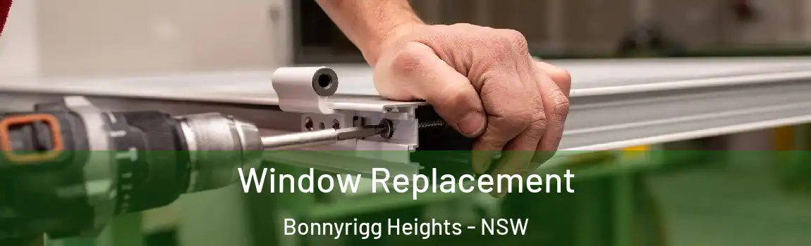  Window Replacement Bonnyrigg Heights - NSW