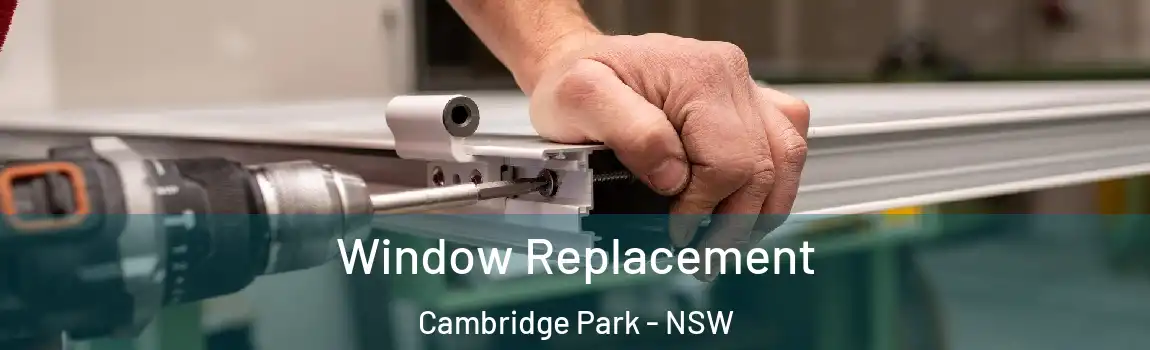  Window Replacement Cambridge Park - NSW