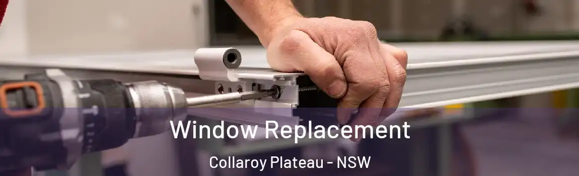  Window Replacement Collaroy Plateau - NSW