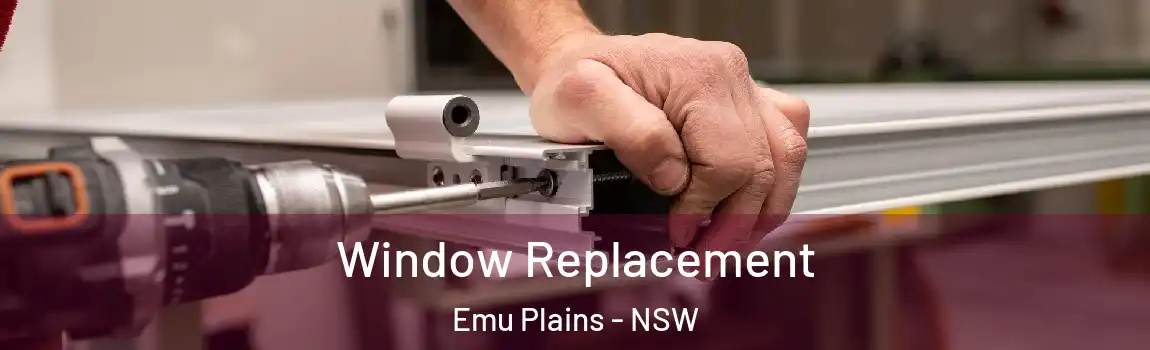  Window Replacement Emu Plains - NSW