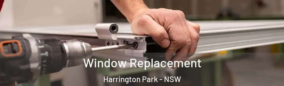  Window Replacement Harrington Park - NSW