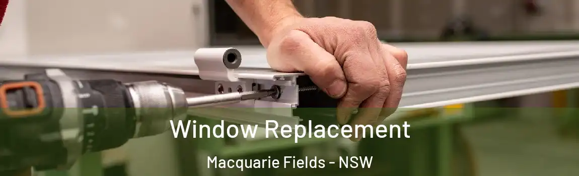  Window Replacement Macquarie Fields - NSW