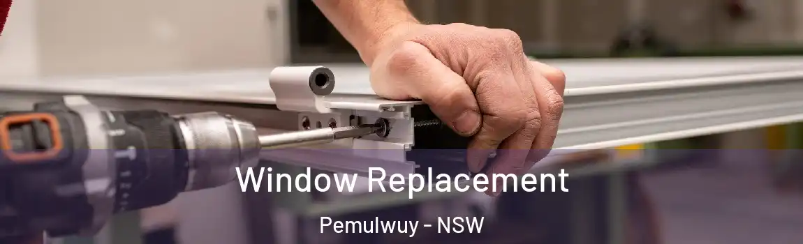 Window Replacement Pemulwuy - NSW