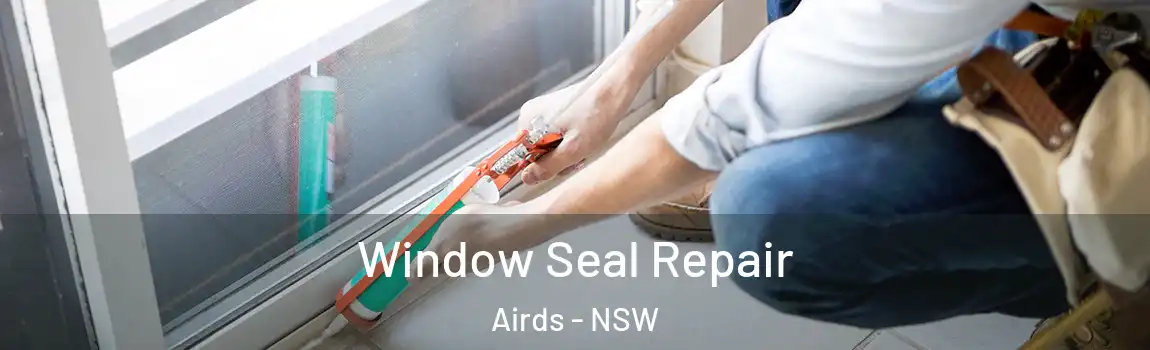  Window Seal Repair Airds - NSW