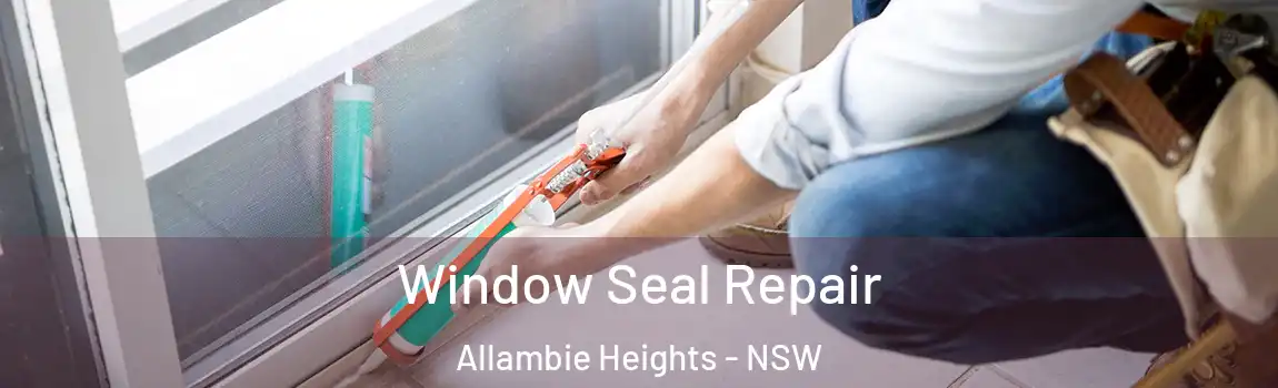  Window Seal Repair Allambie Heights - NSW