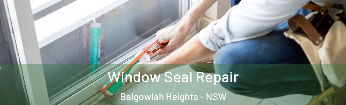  Window Seal Repair Balgowlah Heights - NSW