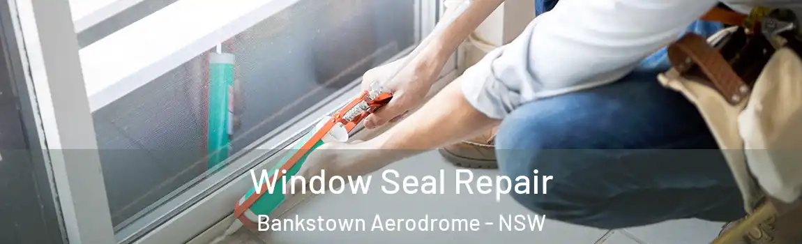  Window Seal Repair Bankstown Aerodrome - NSW