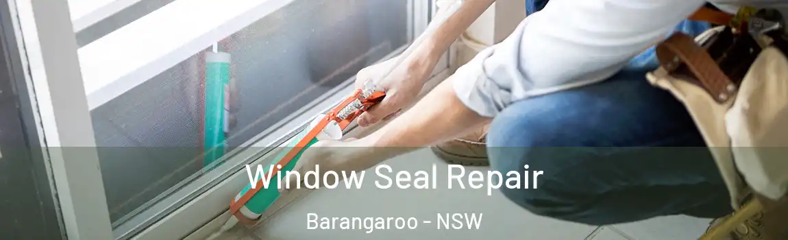  Window Seal Repair Barangaroo - NSW