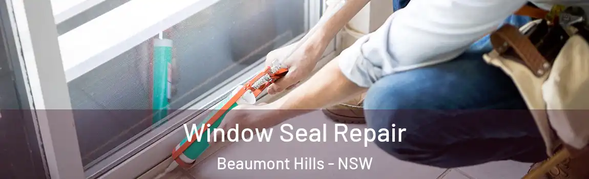  Window Seal Repair Beaumont Hills - NSW