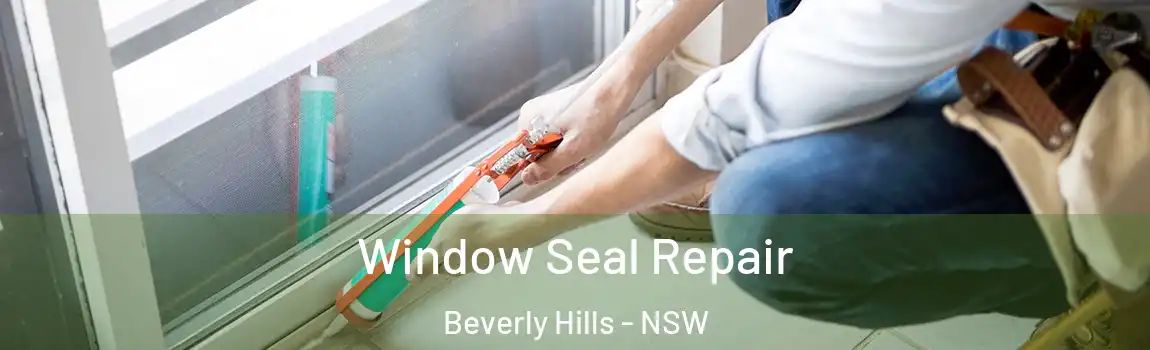  Window Seal Repair Beverly Hills - NSW