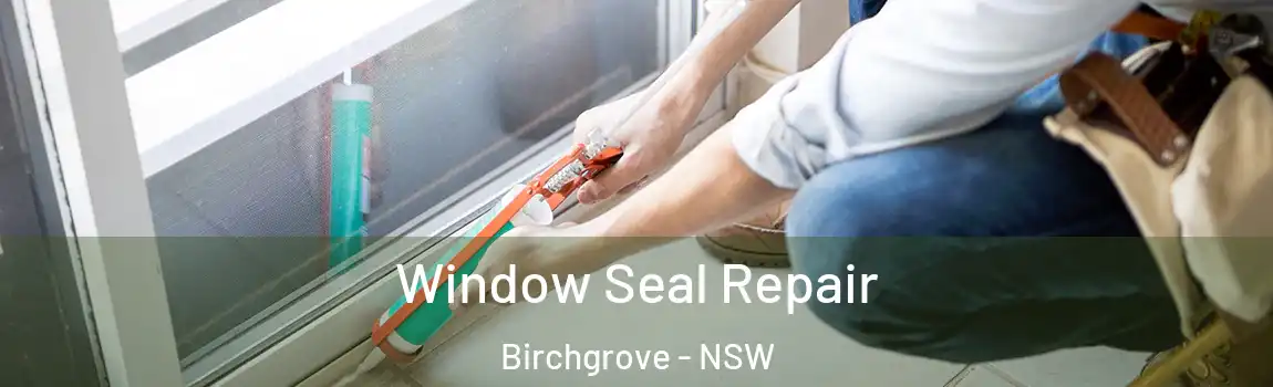  Window Seal Repair Birchgrove - NSW