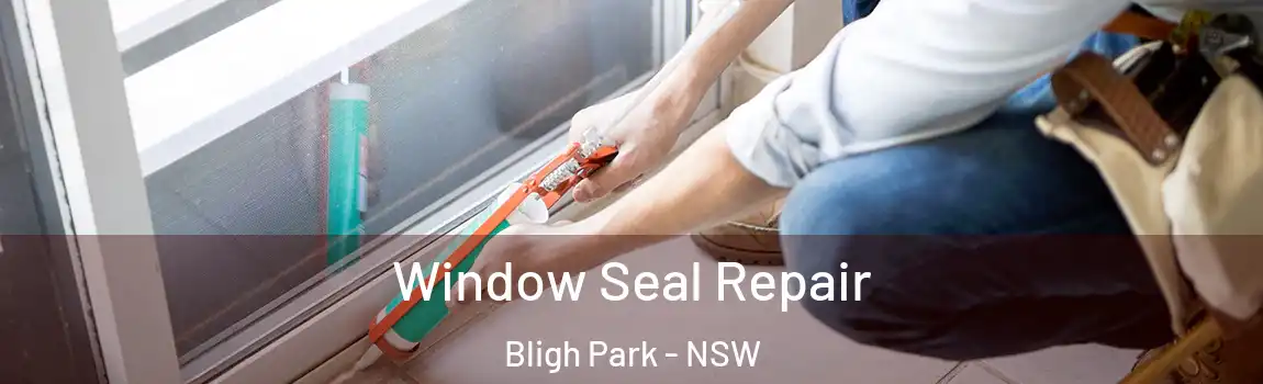  Window Seal Repair Bligh Park - NSW
