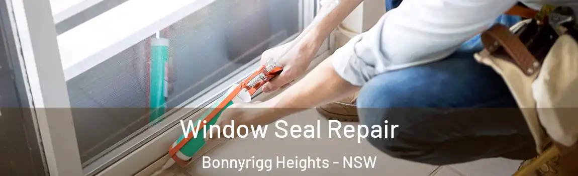  Window Seal Repair Bonnyrigg Heights - NSW