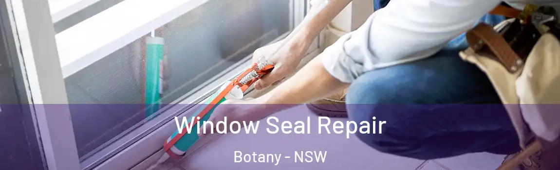  Window Seal Repair Botany - NSW