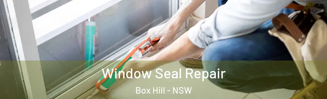  Window Seal Repair Box Hill - NSW