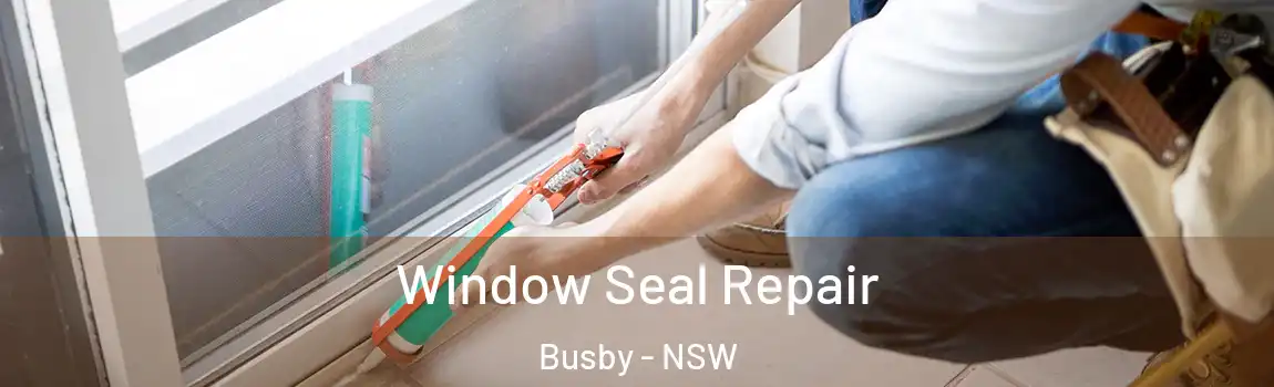 Window Seal Repair Busby - NSW
