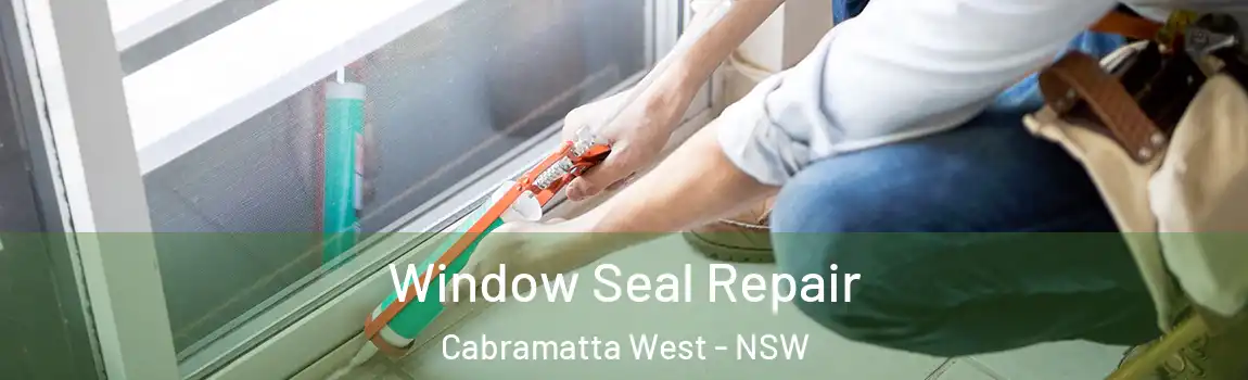  Window Seal Repair Cabramatta West - NSW