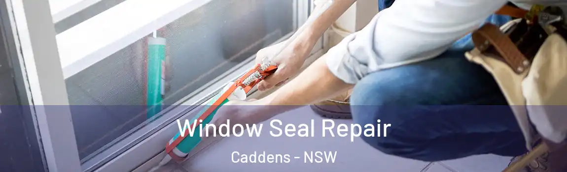  Window Seal Repair Caddens - NSW
