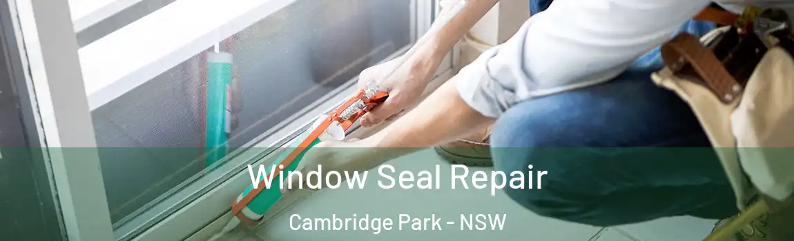  Window Seal Repair Cambridge Park - NSW