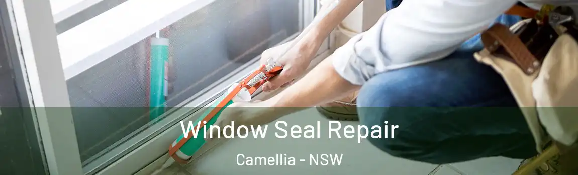  Window Seal Repair Camellia - NSW